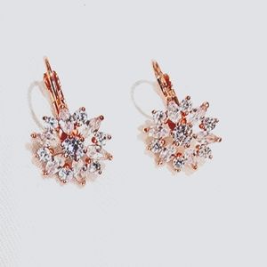 Gorgeous Rose Gold Plated Cubic Zirconia Snowflake Hoop Earrings